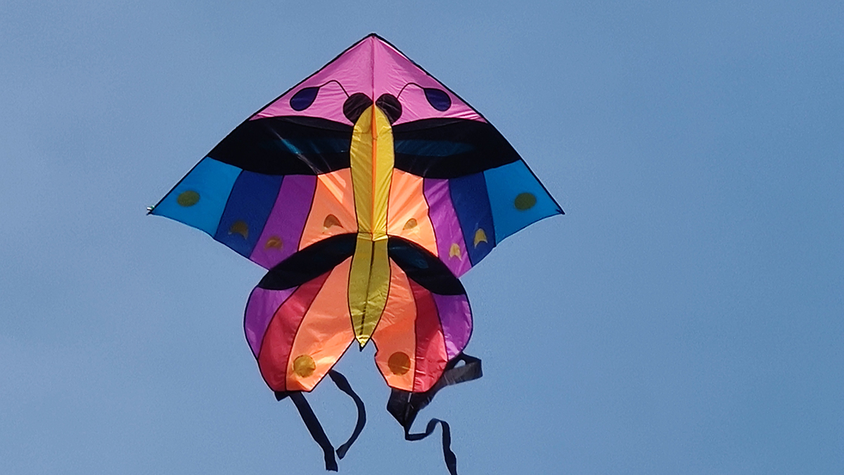 精致外表极致体验,精致外观给你不一样的颜值体验