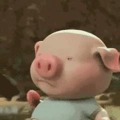 2020年新开始？NO！长春初三、高三娃还有这些事儿等着你们