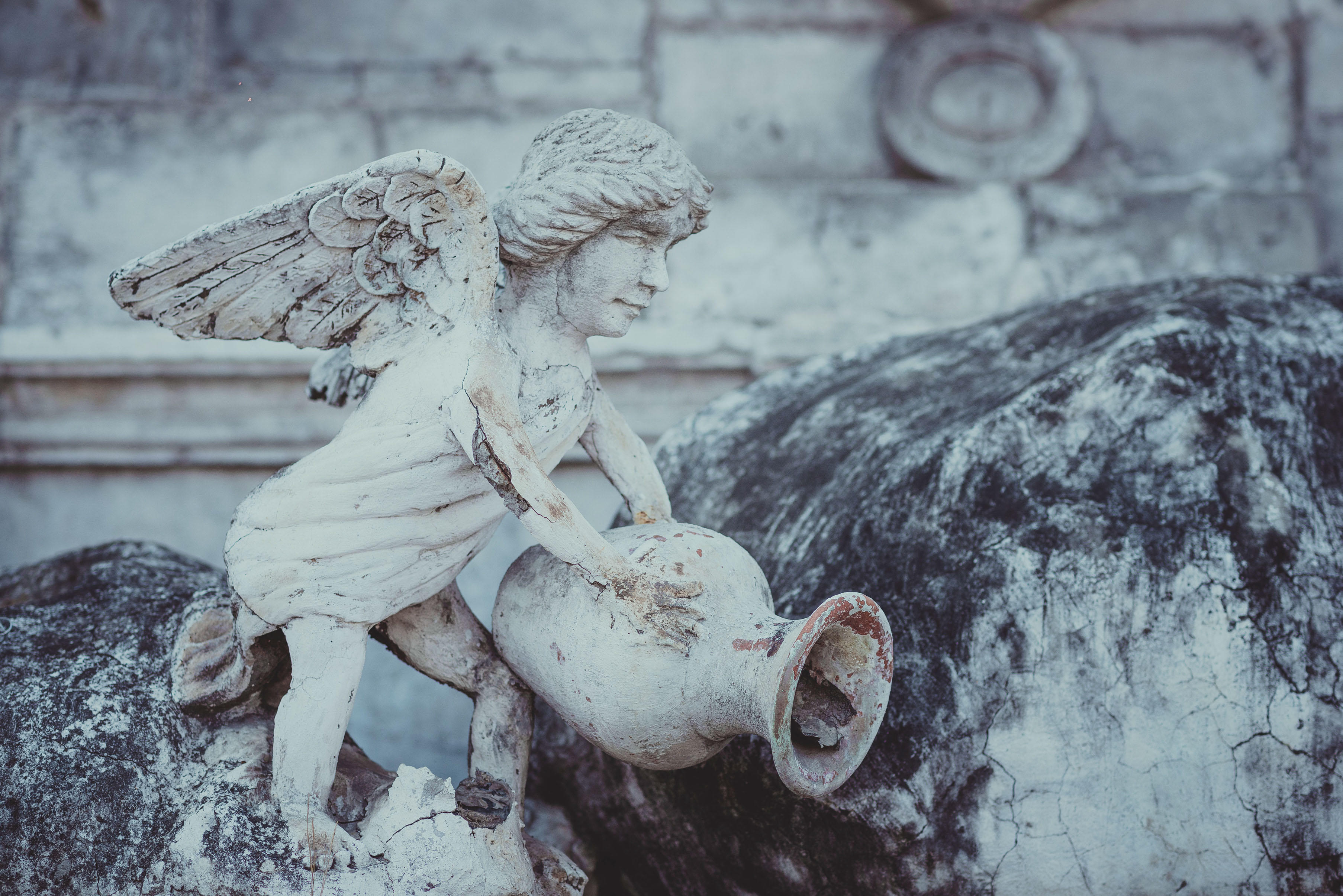 菲律宾宿务薄荷岛旅游攻略华人 (菲律宾宿雾城市风景)