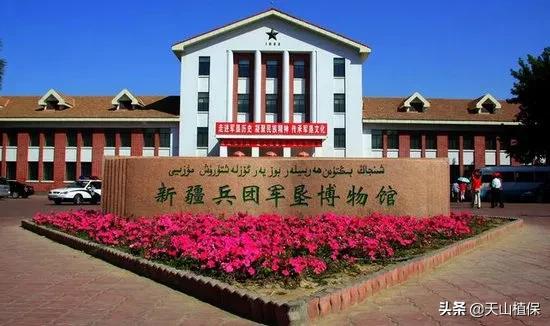 上榜啦！*疆新**鸟市和石市即将被国家命名！未来发展不可估量