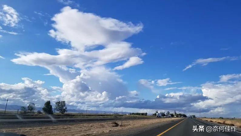 加州5号公路自驾游,美国5号公路自驾游