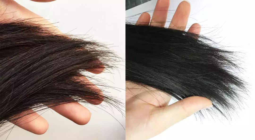 洗发水推荐控油蓬松樱花,claynal樱花洗发水推荐