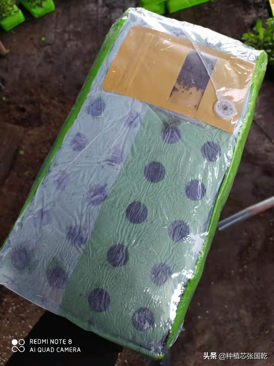 智慧农业创新创业大赛项目推荐,农业创新创业案例分享