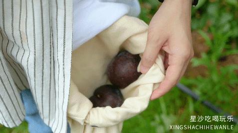 长沙小水果之乡,湖南长沙宝藏打卡地