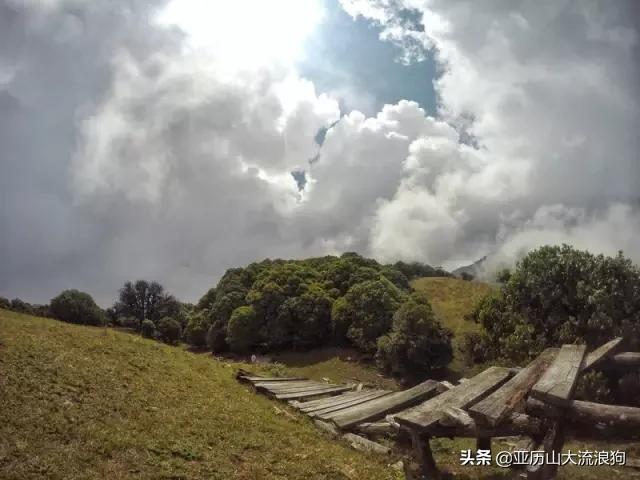 流浪云南|黑河老坡，我与驴子们的一见如故