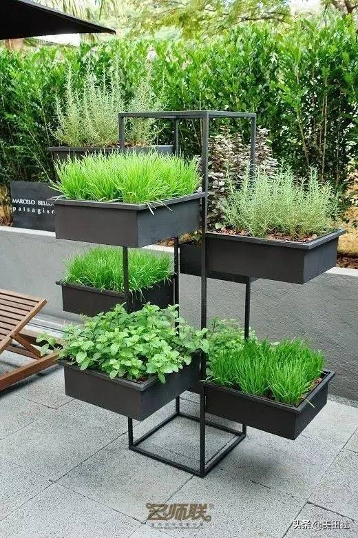 怎样在纸上种菜,纸上种菜的技术很简单