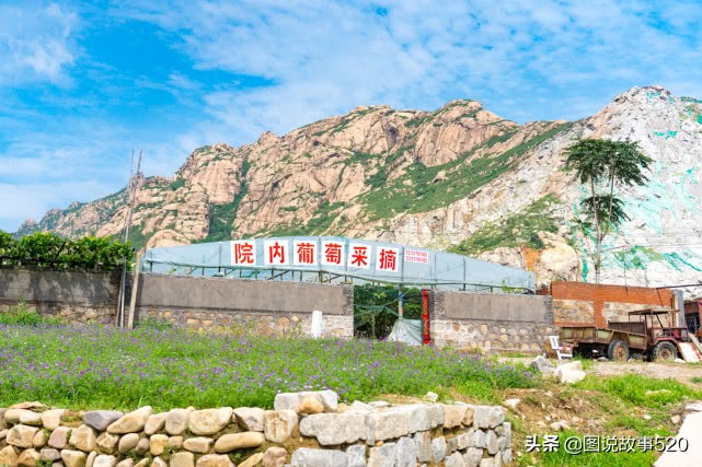 河北葡萄县,名气没*疆新**吐鲁番大,村民自称中国30%干红酒出自这