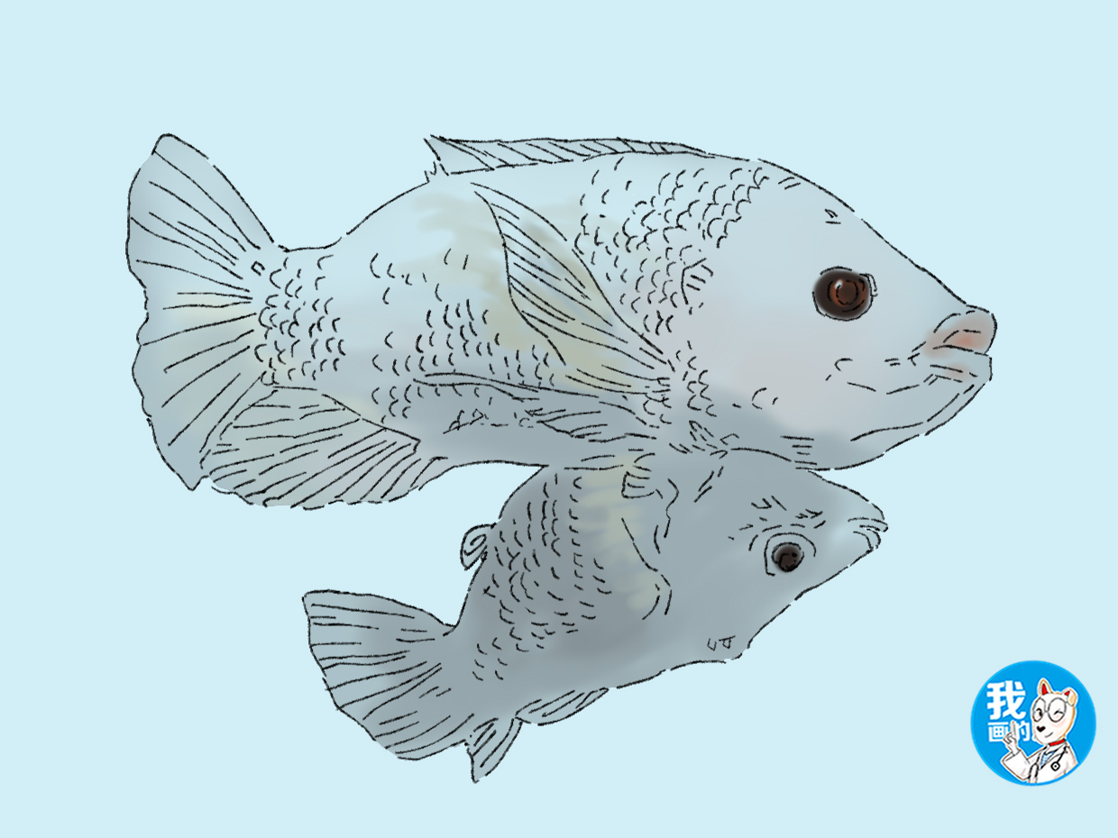 男子钓上来一条怪鱼，带回家养了段时间，没想到竟然有惊喜