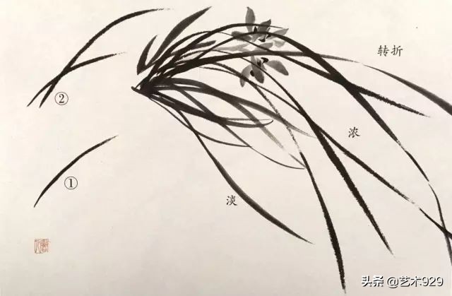 国画兰花的画法太棒了简单易学,泰国兰花绘画技法