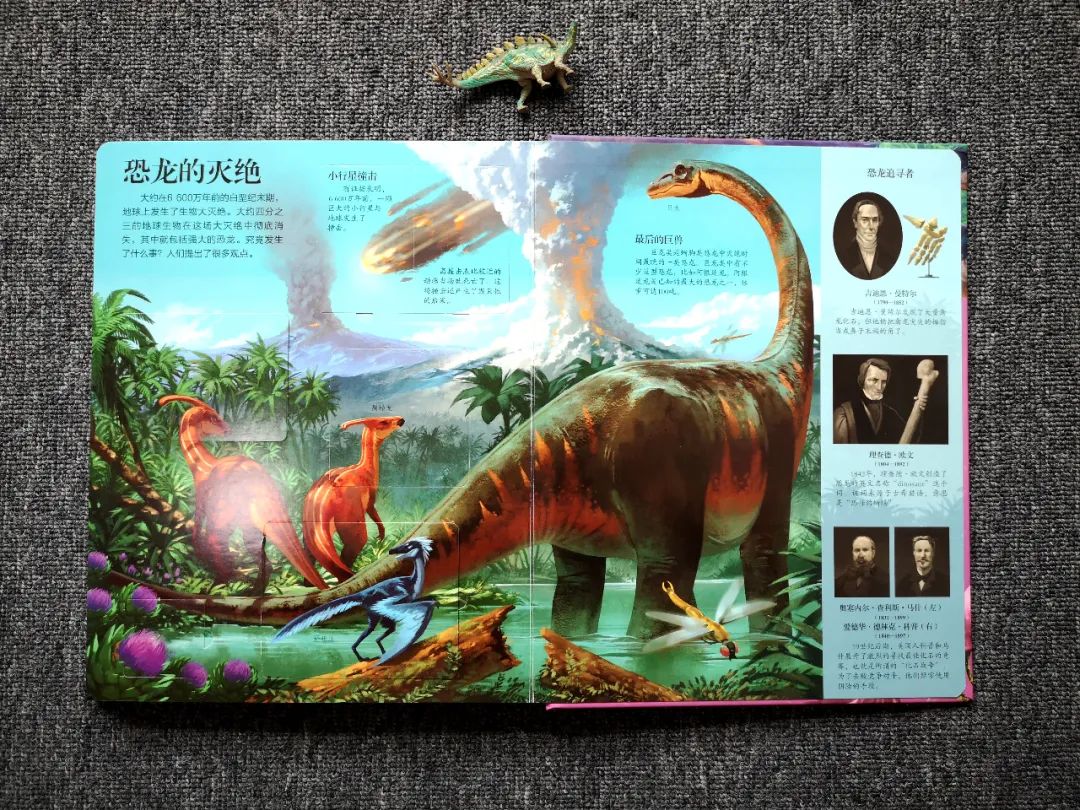 适合孩子看的恐龙科普书,适合5岁孩子看的恐龙科普书
