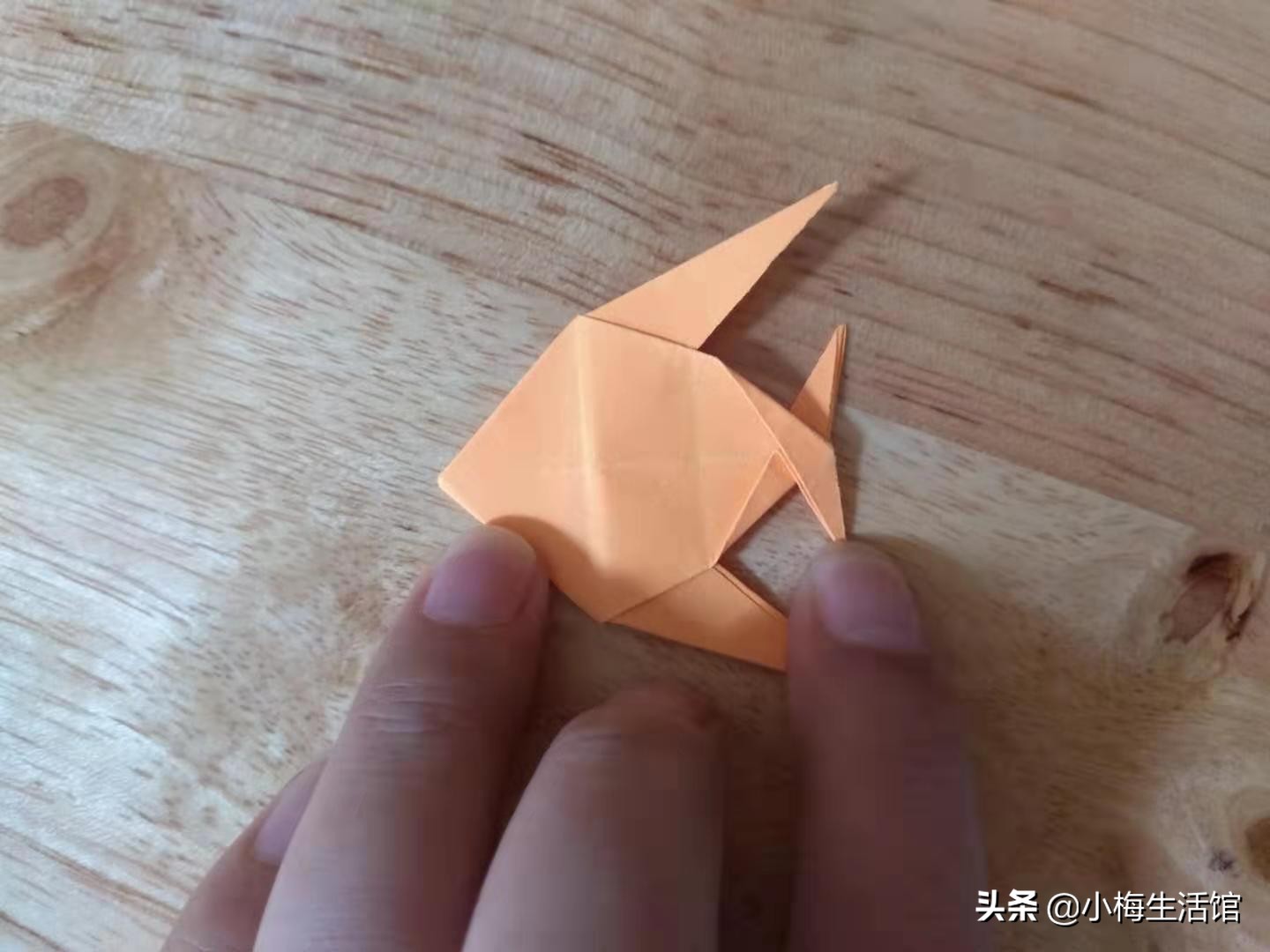 可爱的手工折纸小鱼,折法简单,适合小朋友学的折纸鱼