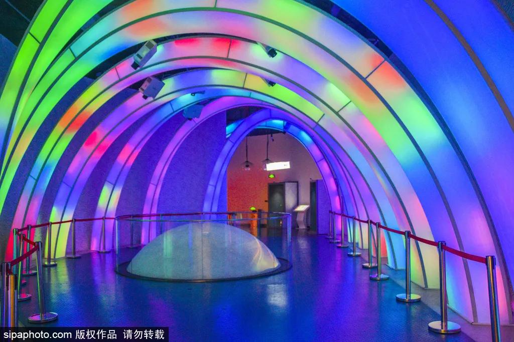 全球最美十大花海美到令人心醉,全球最漂亮花海