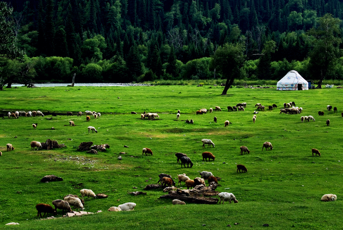 世界最贵最豪华列车,世界上最昂贵的十个豪华列车票
