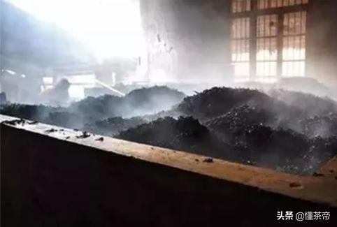 怎么辨别做旧老白茶,学会这6招鉴别新茶和老茶