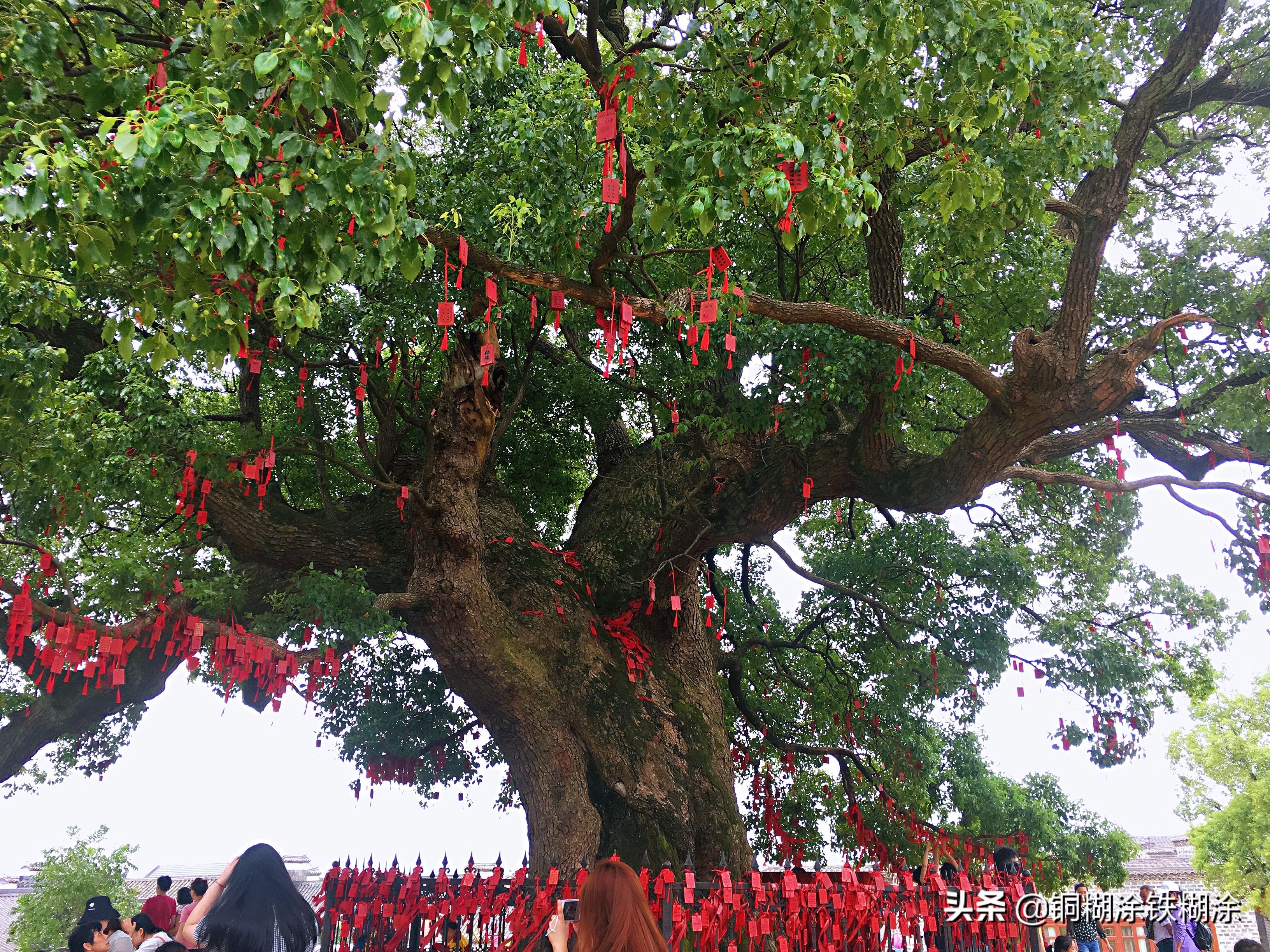 安义最大的古村落,发现安义古村