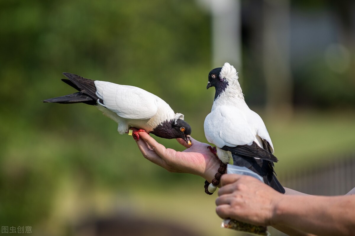 法国获得龚古尔文学奖的作家,法国龚古尔文学奖含金量