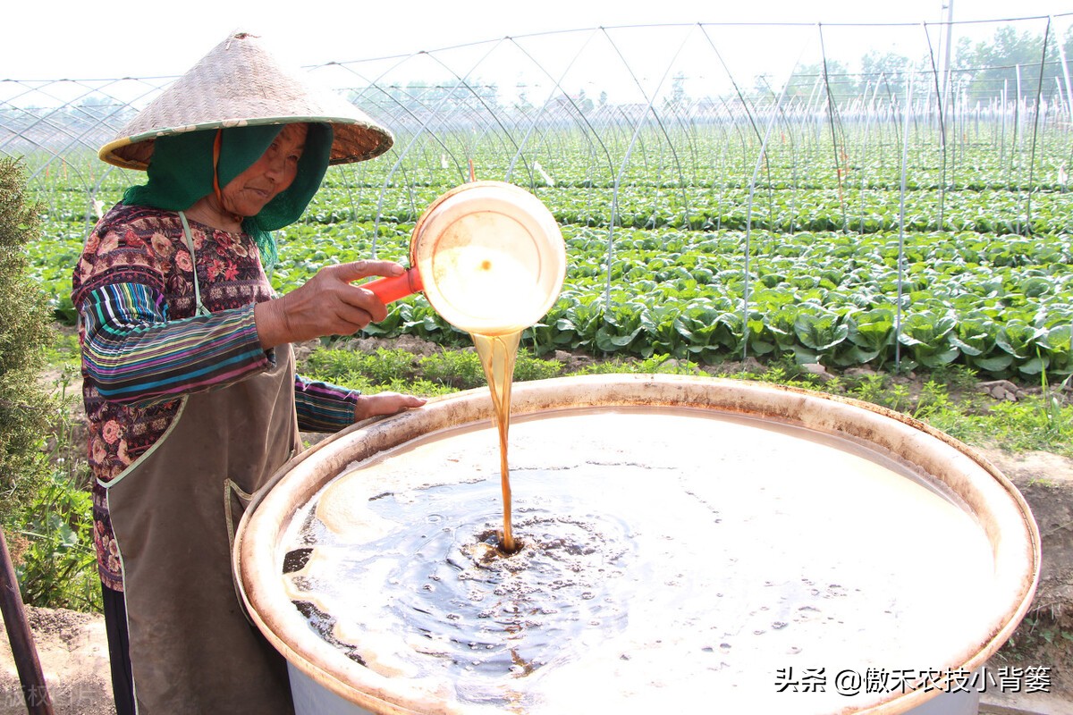 鱼蛋白肥料怎么辨别真假,进口鱼蛋白肥料为什么便宜