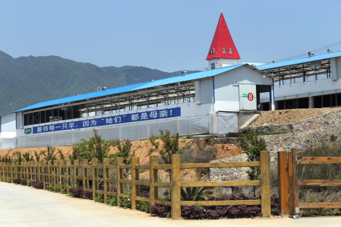 广西优贝优全团队走进欧铂佳牧场，探索国产好奶源