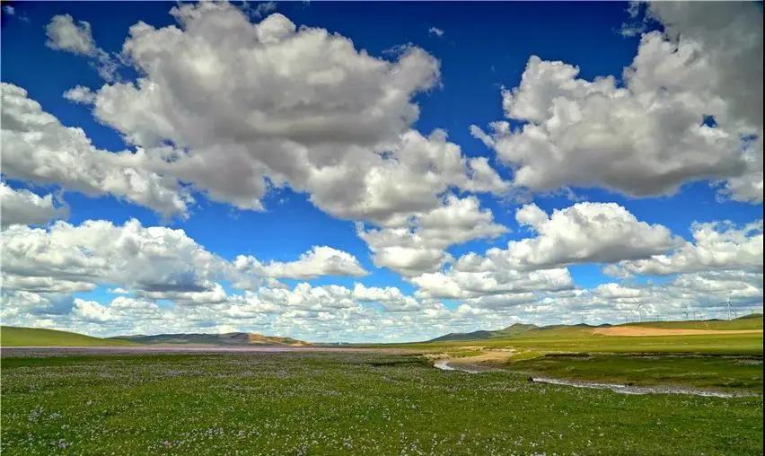 苏炳添,通辽欢迎你!吴智强,快带苏炳添回家