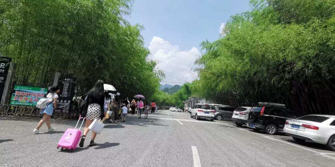 洛阳周边竟藏了个“北国小江南”！山水俱佳，堪称世外仙境