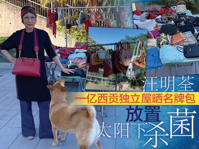 汪明荃的鞋子,汪明荃出席活动照