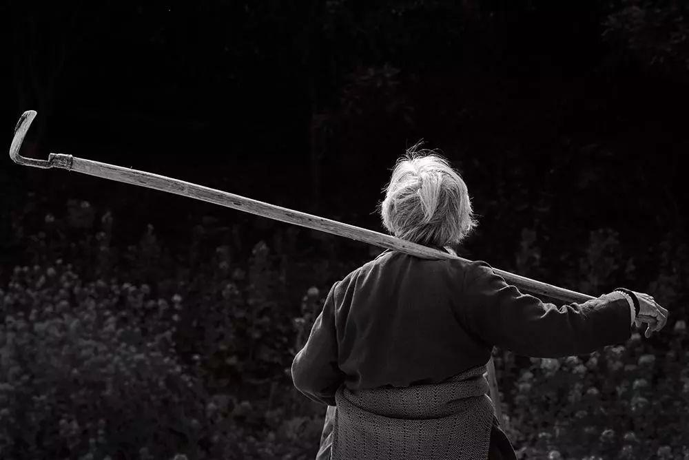 在你心中你的母亲是什么样的,在你心目中母亲是怎样的人