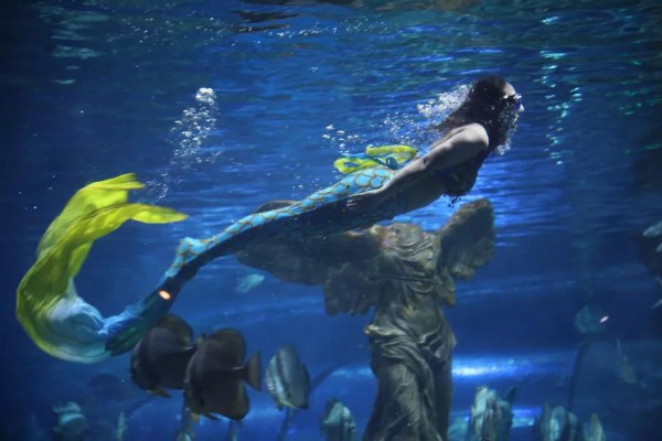 2018十大感人瞬间感谢你,谢谢2018完整视频