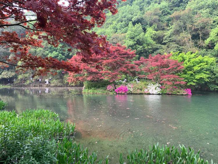 龙井村九溪十八涧徒步最佳路线图,九溪十八涧只有龙井村一个出口吗