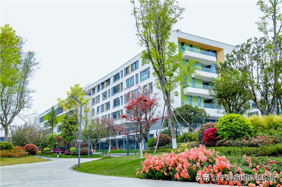 城南这所“明星学校”，小初高全学段招生，管理团队超豪华