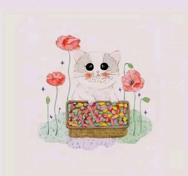 搞笑的句子精辟逗比专治不开心,超搞笑超皮的句子句句逗你笑