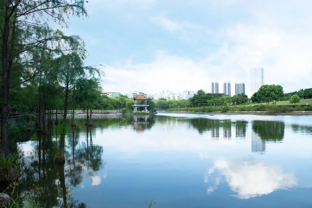 深圳赏月推荐,龙岗中心赏月