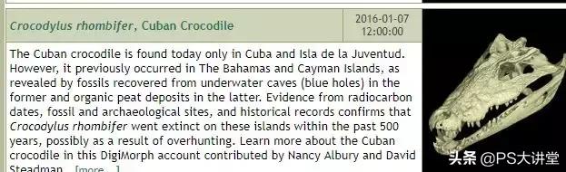 抖音带货视频素材网站免费大推荐,10大免费无版权视频素材影片网站