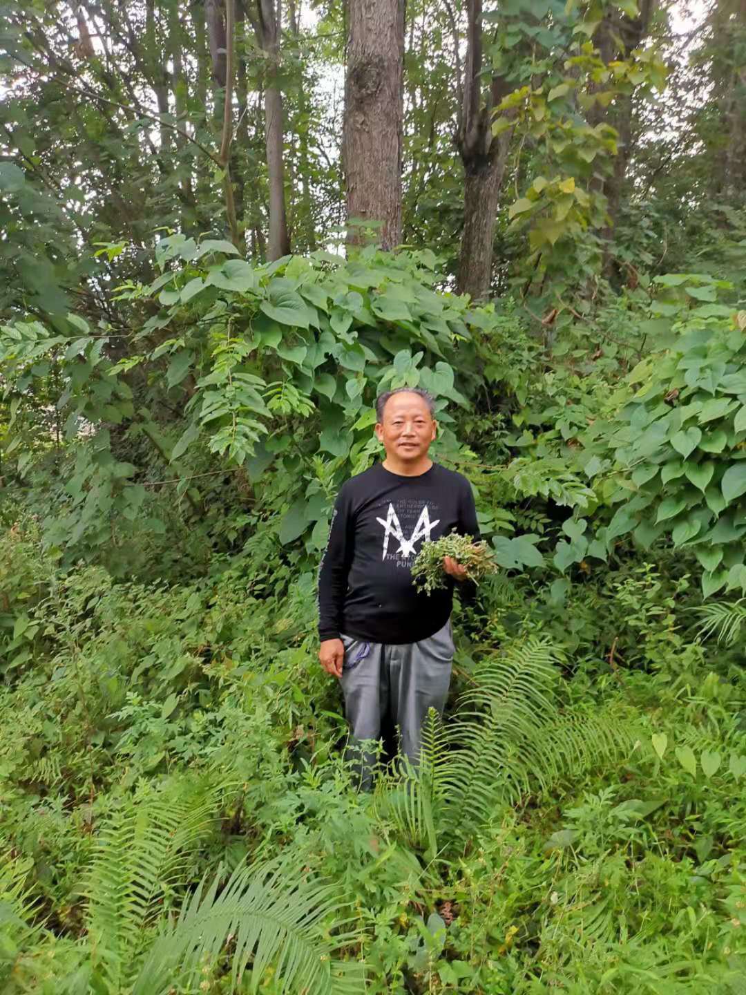 救死扶伤彰显草医神奇—---草医大夫梁民刲