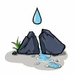 中医对息肉的论治,胆囊息肉跟体内湿气有关系吗