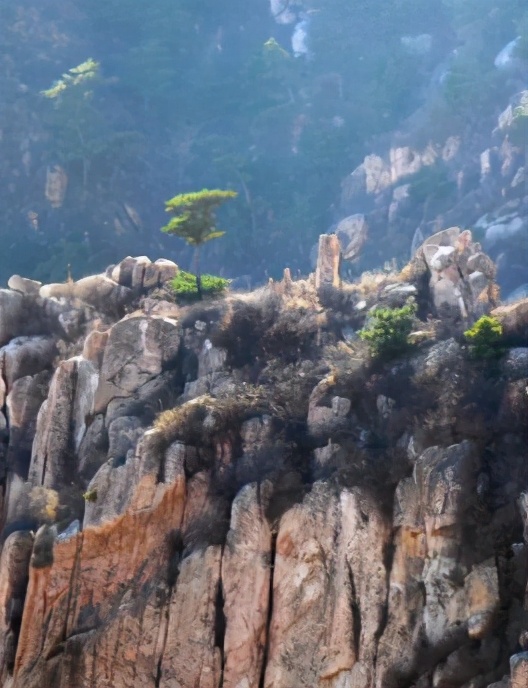 溯乡源、忆乡景、述乡俗，带你走进不一样的家乡秦皇岛