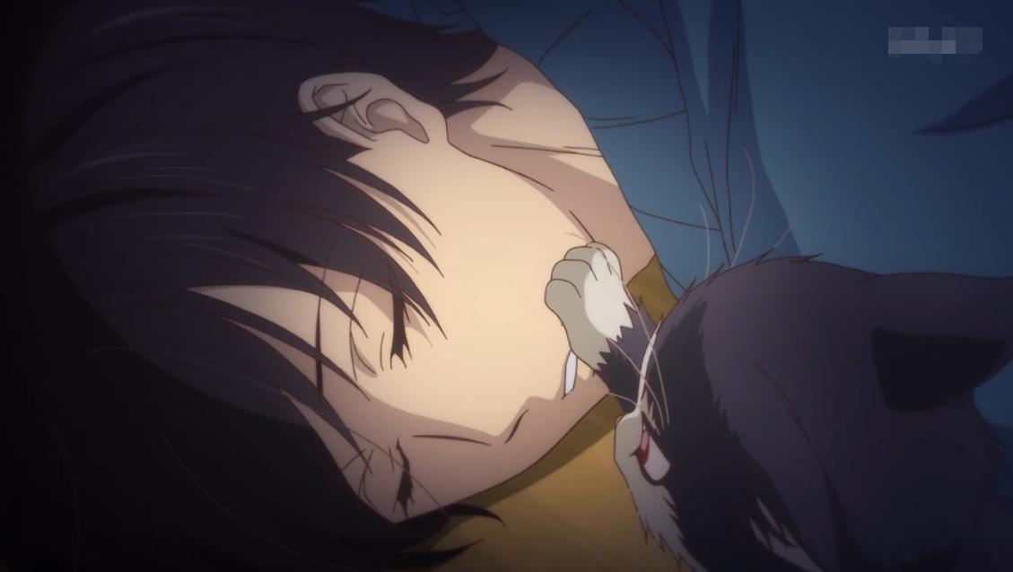 治愈系动漫新番猫猫,1月新番动漫因狗而幸福