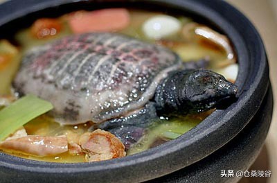 孕妇知识app,孕妇知识