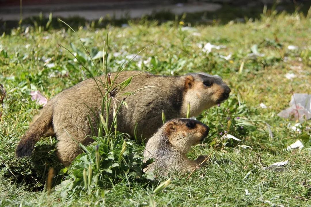 世界十大必去旅游城市,世界十大最值得去的地方