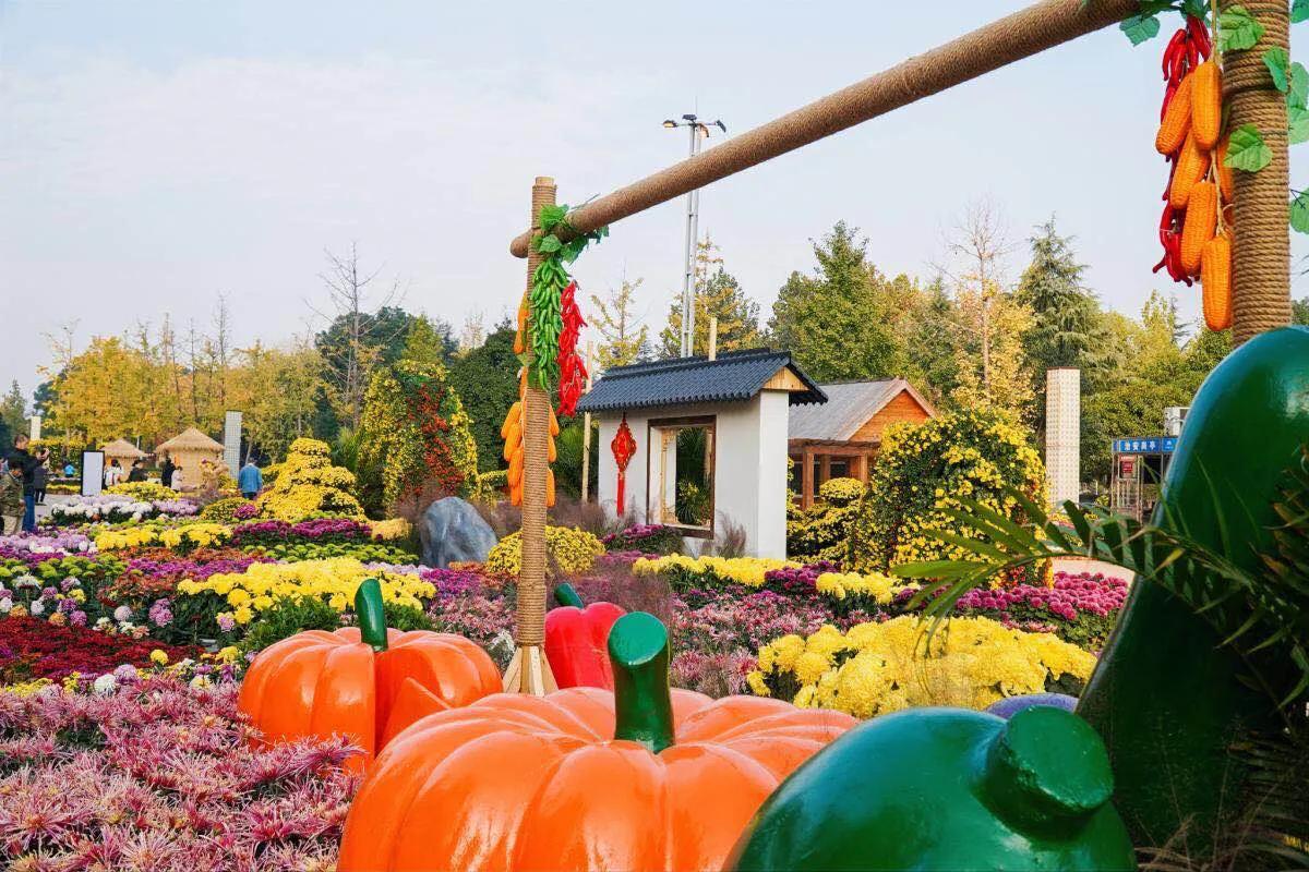 武汉市第40届菊展分展点,武汉市第三十五届金秋菊展