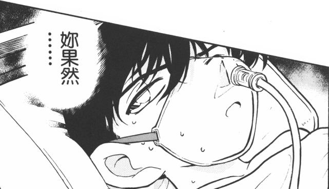 从零开始名侦探柯南,从零开始看柯南