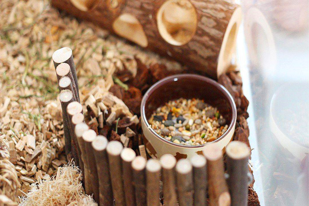 家用室内仓鼠笼怎么选好,什么样的仓鼠笼可以避免老鼠袭击