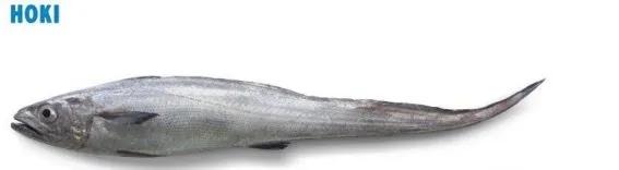 新西兰最有名三文鱼,新西兰帝王鲑三文鱼视频