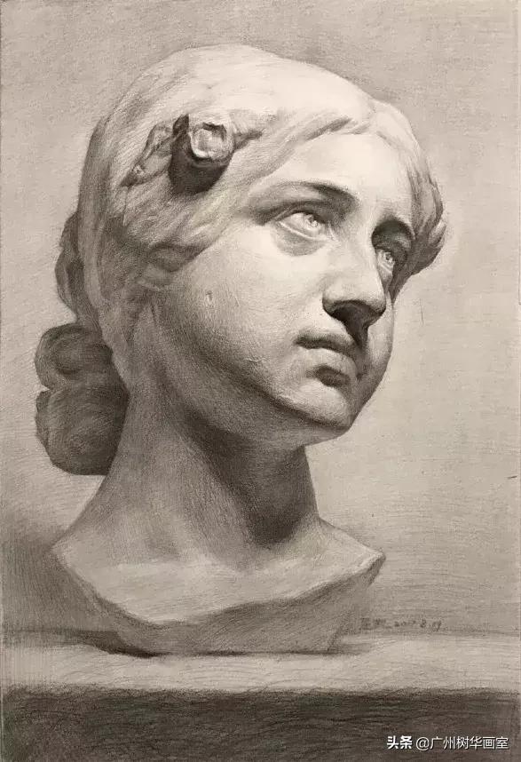 石膏头像大卫素描教程步骤,素描石膏鼻子的步骤入门