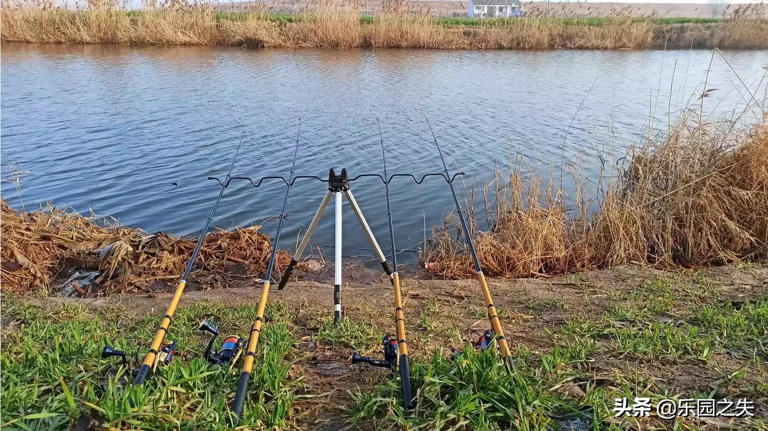 矶钓抛竿怎么抛得又远又稳又准,矶钓抛竿技术