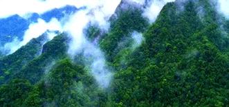 柞水木耳炒腊肉,卖疯了的零食