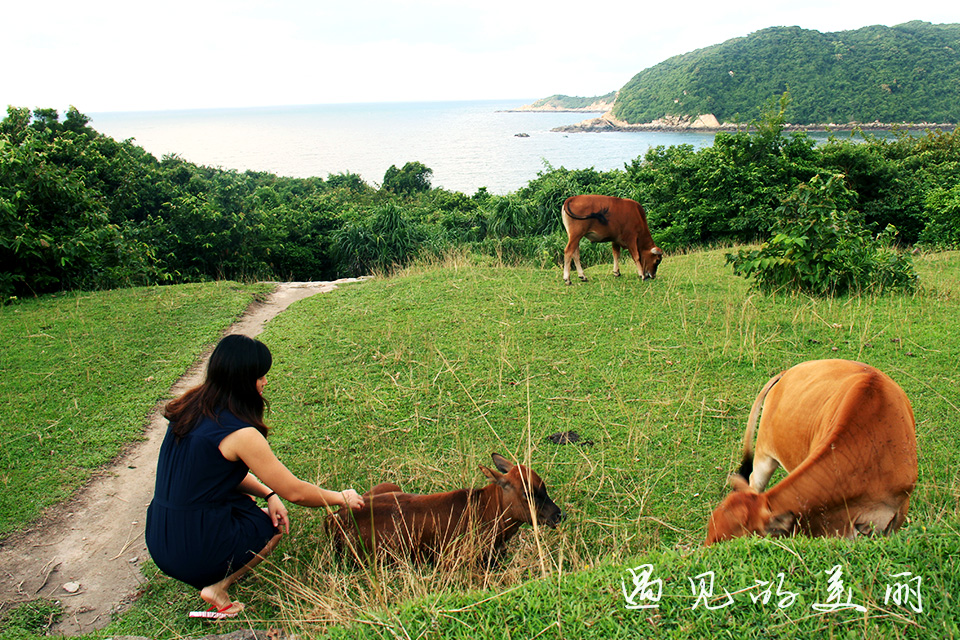 上下川岛可以开车过去吗,广东下川岛