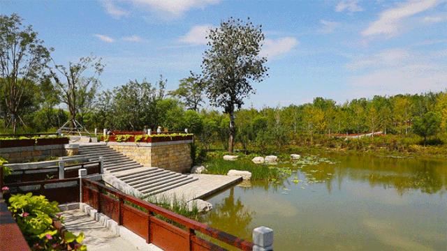 北京人少景美赏秋的公园,北京赏秋中山公园