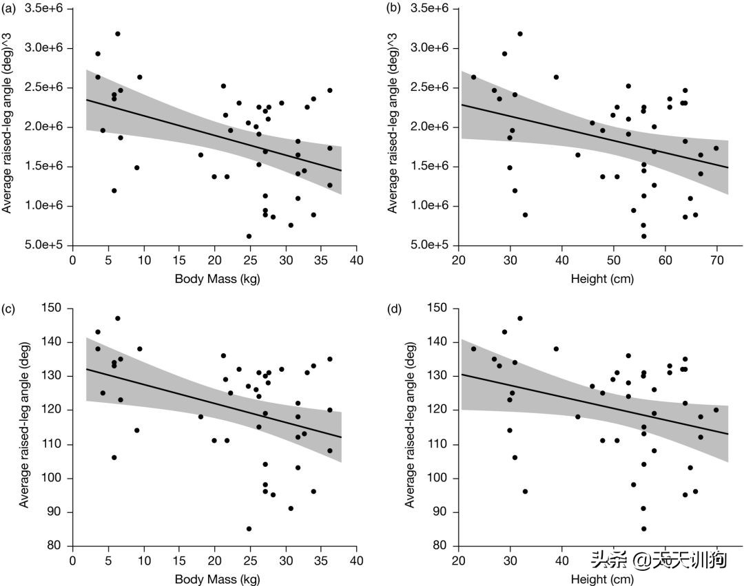 鐙楀瓙鎶吙鎾掑翱,鐙楀瓙鎾掑翱鎶吙