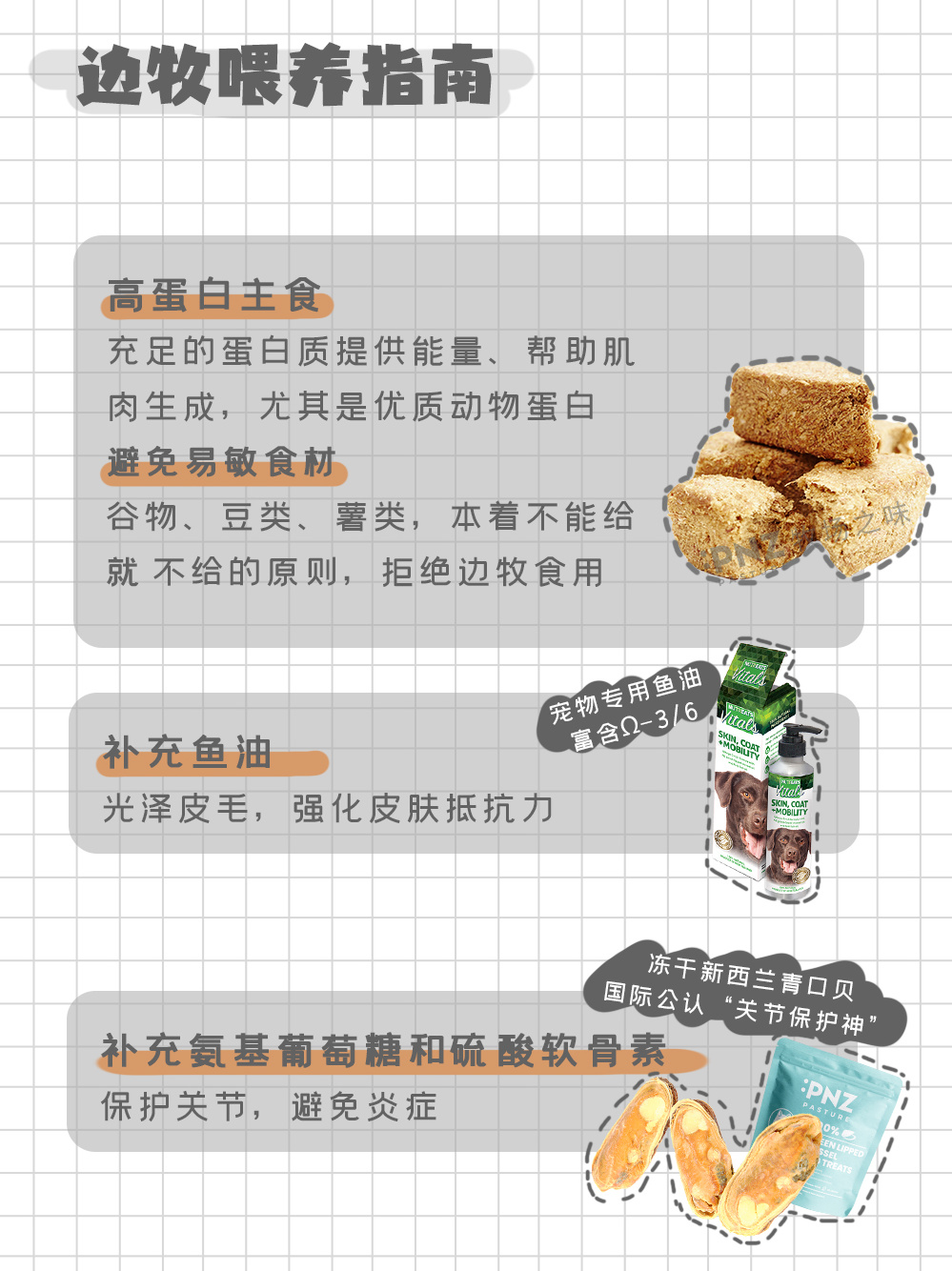 边境牧羊犬掉毛很严重吗,为什么都说边境牧羊犬不是狗