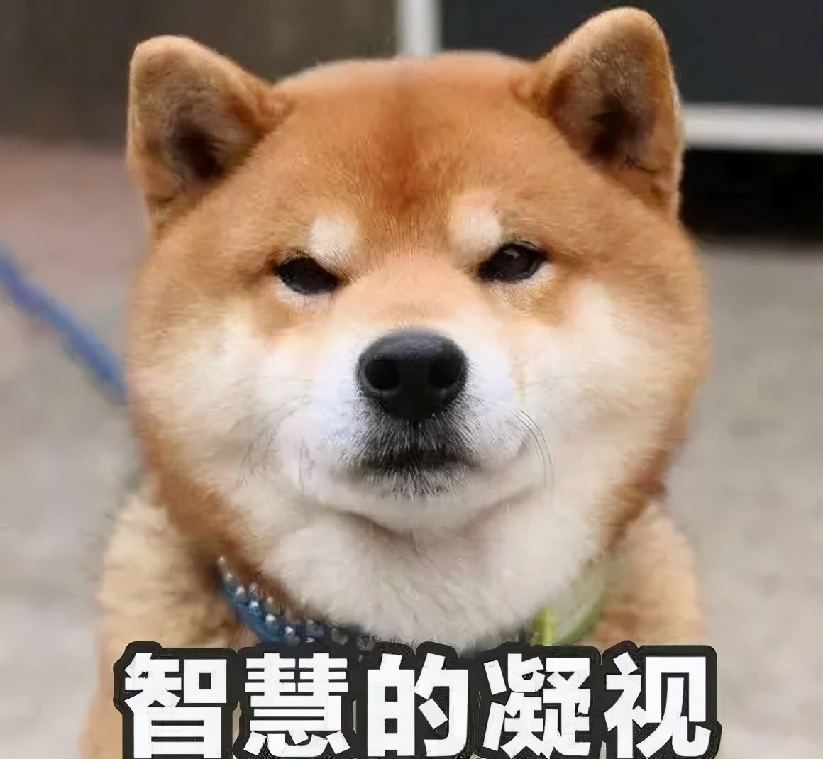 为什么要建成渝双城经济圈,成渝双城经济圈规划纲要公布